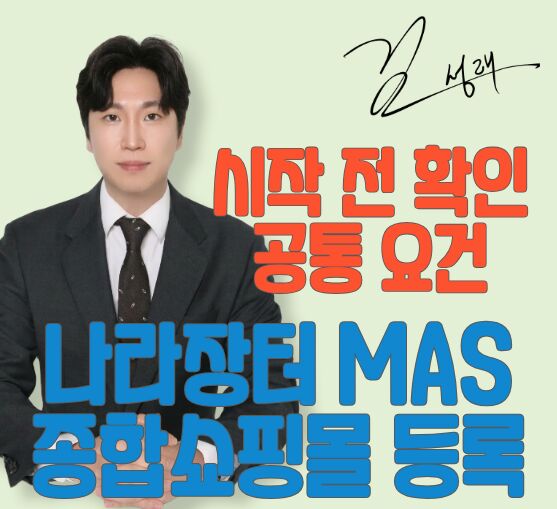 나라장터 종합쇼핑몰 mas 공통 요건