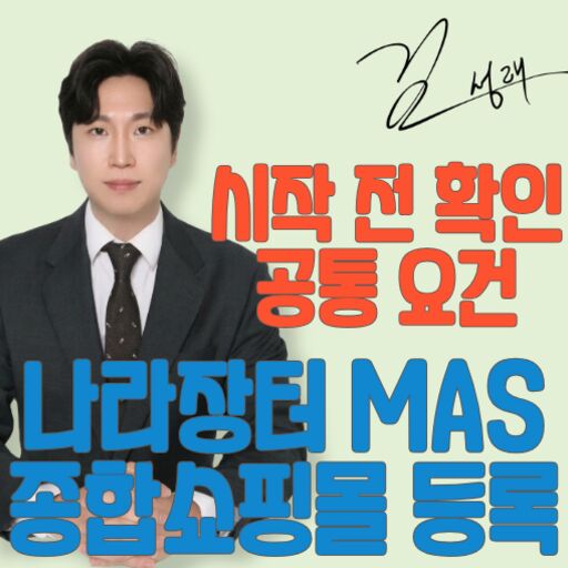 나라장터 종합쇼핑몰 mas 공통 요건
